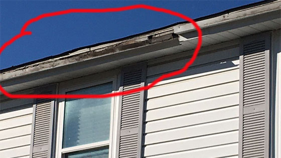 Repair Damaged Exterior Trim & Siding