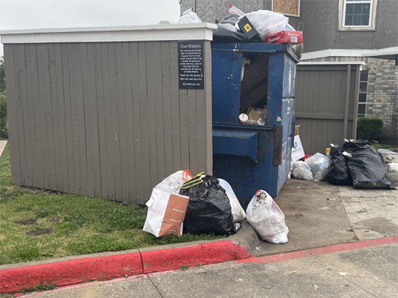 Dumpster Pad Cleaning