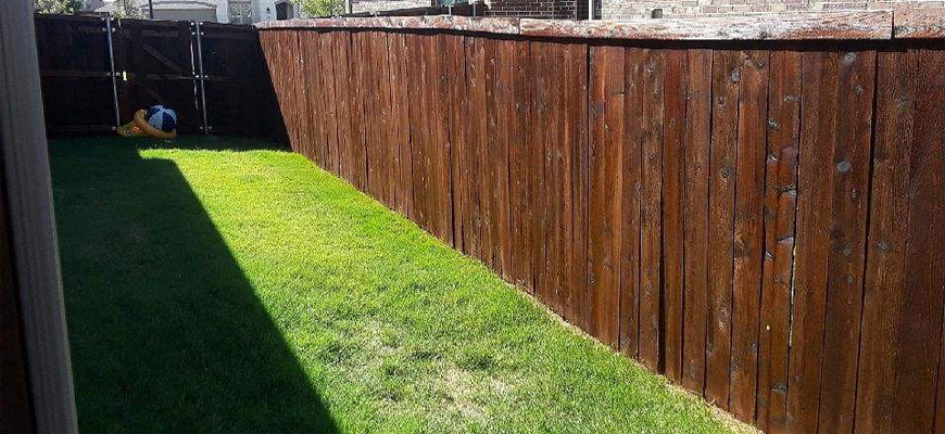 Fence Painting