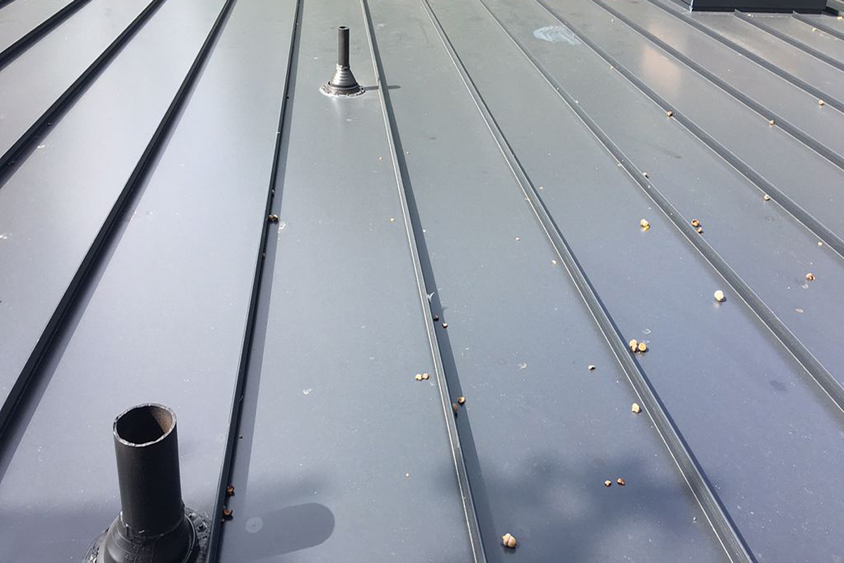 Plano, TX - Metal Roofs